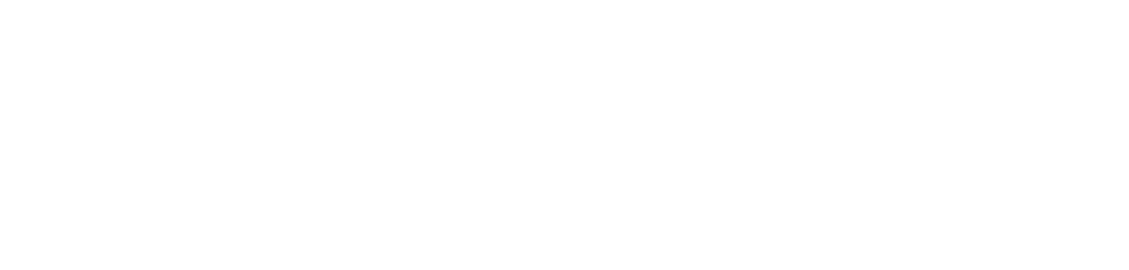 Deepsense Logo